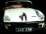 Black Cat Style 3 Vinyl Wall Car Window Decal - Fusion Decals