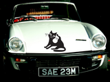 Black Cat Style 5 Vinyl Wall Car Window Decal - Fusion Decals