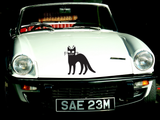 Black Cat Style 9 Vinyl Wall Car Window Decal - Fusion Decals