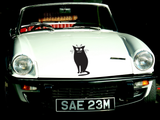 Black Cat Style 17 Vinyl Wall Car Window Decal - Fusion Decals