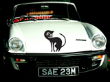 Black Cat Style 18 Vinyl Wall Car Window Decal - Fusion Decals