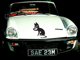 Black Cat Style 19 Vinyl Wall Car Window Decal - Fusion Decals