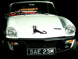Black Cat Style 21 Vinyl Wall Car Window Decal - Fusion Decals