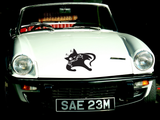 Black Cat Style 22 Vinyl Wall Car Window Decal - Fusion Decals