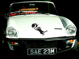 Black Cat Style 26 Vinyl Wall Car Window Decal - Fusion Decals