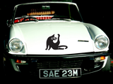 Black Cat Style 29 Vinyl Wall Car Window Decal - Fusion Decals