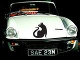 Black Cat Style 38 Vinyl Wall Car Window Decal - Fusion Decals