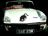 Black Cat Style 42 Vinyl Wall Car Window Decal - Fusion Decals