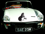 Black Cat Style 44 Vinyl Wall Car Window Decal - Fusion Decals