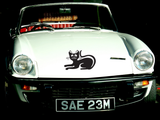 Black Cat Style 47 Vinyl Wall Car Window Decal - Fusion Decals
