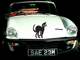 Black Cat Style 51 Vinyl Wall Car Window Decal - Fusion Decals
