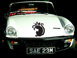 Black Cat Style 52 Vinyl Wall Car Window Decal - Fusion Decals
