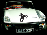 Black Cat Style 53 Vinyl Wall Car Window Decal - Fusion Decals