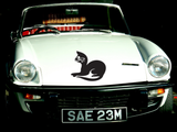Black Cat Style 59 Vinyl Wall Car Window Decal - Fusion Decals