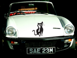 Black Cat Style 63 Vinyl Wall Car Window Decal - Fusion Decals