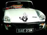 Black Cat Style 72 Vinyl Wall Car Window Decal - Fusion Decals