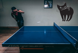 Black Cat Style 79 Vinyl Wall Car Window Decal - Fusion Decals