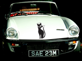 Black Cat Style 84 Vinyl Wall Car Window Decal - Fusion Decals