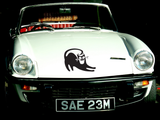 Black Cat Style 85 Vinyl Wall Car Window Decal - Fusion Decals