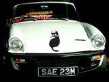 Black Cat Style 92 Vinyl Wall Car Window Decal - Fusion Decals