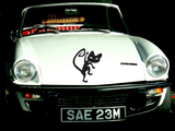 Black White Cat Style 2 Vinyl Wall Car Window Decal - Fusion Decals
