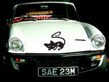 Black White Cat Style 3 Vinyl Wall Car Window Decal - Fusion Decals