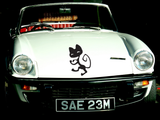 Black White Cat Style 5 Vinyl Wall Car Window Decal - Fusion Decals
