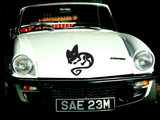 Black White Cat Style 6 Vinyl Wall Car Window Decal - Fusion Decals