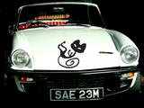 Black White Cat Style 10 Vinyl Wall Car Window Decal - Fusion Decals