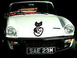 Black White Cat Style 12 Vinyl Wall Car Window Decal - Fusion Decals