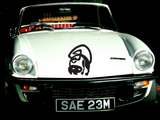 Black White Cat Style 13 Vinyl Wall Car Window Decal - Fusion Decals