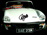 Black White Cat Style 17 Vinyl Wall Car Window Decal - Fusion Decals
