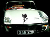 Black White Cat Style 20 Vinyl Wall Car Window Decal - Fusion Decals