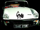 Black White Cat Style 21 Vinyl Wall Car Window Decal - Fusion Decals
