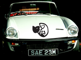 Black White Cat Style 22 Vinyl Wall Car Window Decal - Fusion Decals