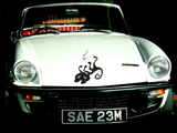 Black White Cat Style 25 Vinyl Wall Car Window Decal - Fusion Decals