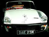 Cartoon Style Cat 39 Vinyl Wall Car Window Decal - Fusion Decals