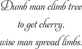 Dumb man climb tree to get cherry,
wise man spread limbs. Vinyl Wall Car Window Decal - Fusion Decals