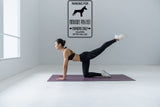 Parking for Minature Pinscher Owners Only Sign Vinyl Wall Decal - Fusion Decals