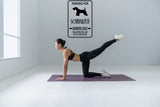 Parking for Schnauzer Owners Only Sign Vinyl Wall Decal - Fusion Decals