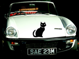 HALLOWEEN BLACKCAT 01 Vinyl Wall Car Window Decal - Fusion Decals