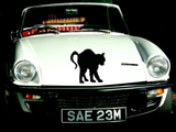  HALLOWEEN BLACKCAT 03 Vinyl Wall Car Window Decal - Fusion Decals