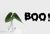 HALLOWEEN BOO! 01 Vinyl Wall Car Window Decal - Fusion Decals