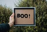 HALLOWEEN BOO! 01 Vinyl Wall Car Window Decal - Fusion Decals
