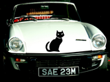 HALLOWEEN CAT 01 Vinyl Wall Car Window Decal - Fusion Decals