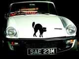 HALLOWEEN CAT 04 Vinyl Wall Car Window Decal - Fusion Decals