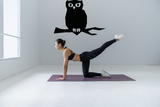 HALLOWEEN OWL 01 Vinyl Wall Car Window Decal - Fusion Decals