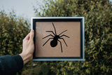  HALLOWEEN SPIDER 02 Vinyl Wall Car Window Decal - Fusion Decals