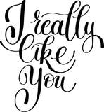 I really like you Vinyl Wall Car Window Decal - Fusion Decals