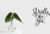 I really like you Vinyl Wall Car Window Decal - Fusion Decals